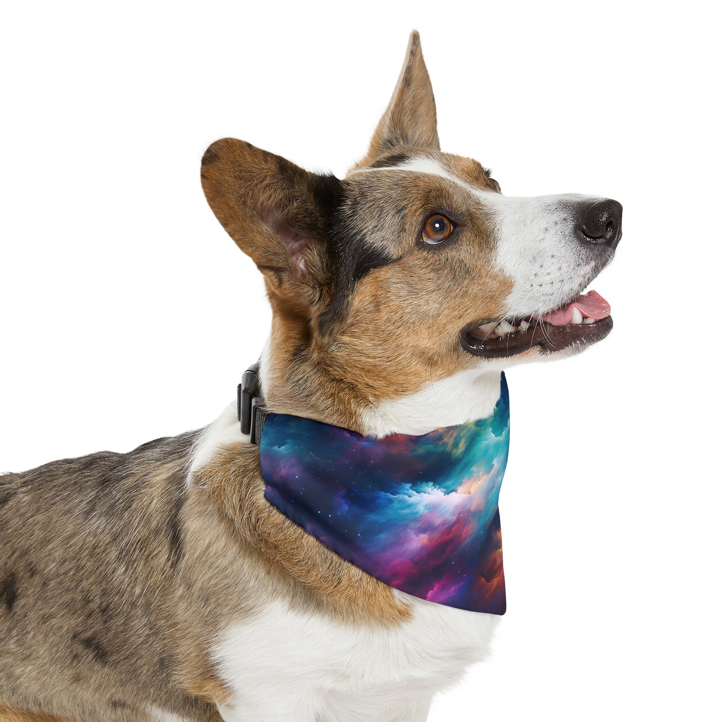 Rainbow Clouds 5 Pet Bandana Collar